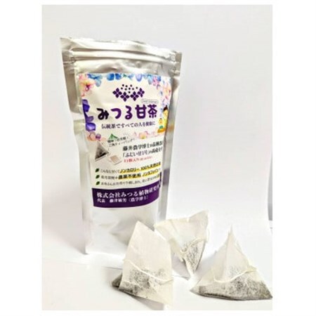伝統健康茶みつる甘茶 31パック　藤井博士が開発した驚きの自然の甘さ【1560606】