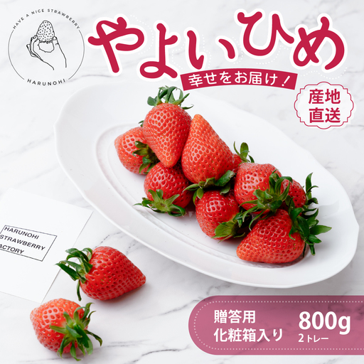 いちご 大粒完熟いちご「やよいひめ」800g
