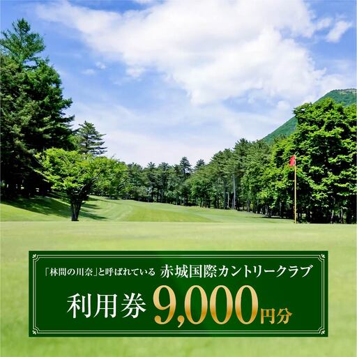 ゴルフ 赤城国際カントリークラブ ゴルフ場利用券 9,000円分
