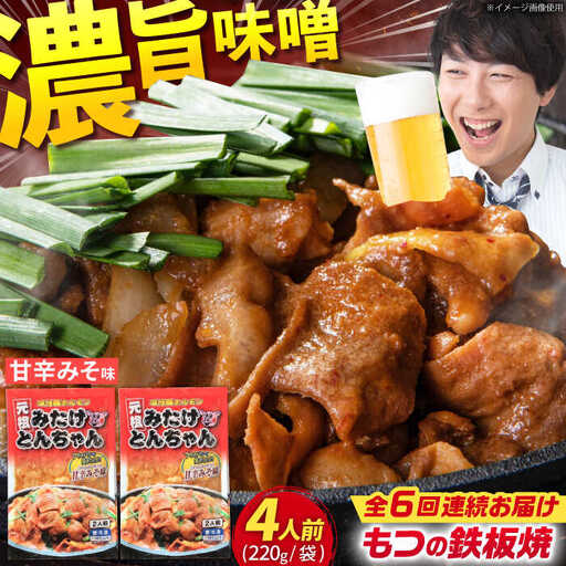 [6回定期便]岐阜県産豚もつの鉄板焼き「元祖みたけとんちゃん」甘辛みそ味(4人前) [AVAA019]豚 定期