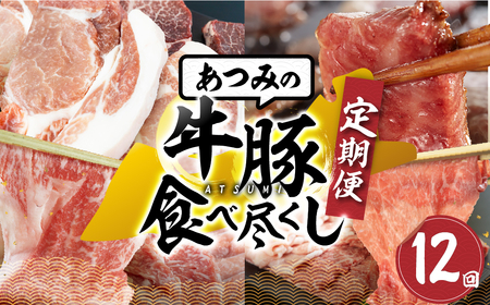 【定期便】あつみ牛豚食べつくし定期便 12回