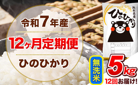 無洗米 12か月定期便 ひのひかり 5kg 無洗