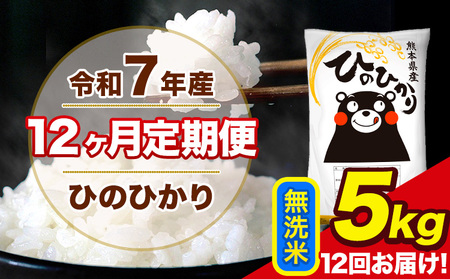 令和7年産  【12ヶ月定期便】 ひのひかり 無洗米 5kg 5kg×1袋 計12回お届け 熊本県産 こめ コメ 無洗米 精米 荒尾市 ひの 米 定期 《お申込み翌月から出荷》 美味しい米 お米 熊本県産米 くまもと米
