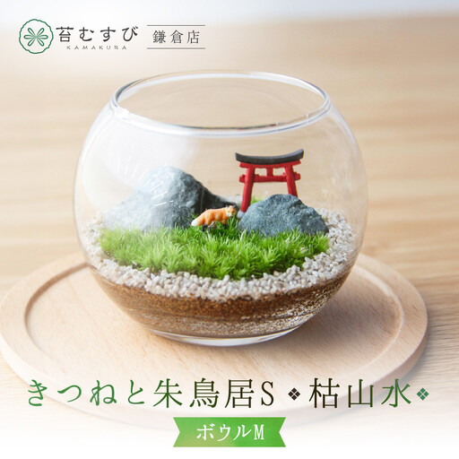 《苔テラリウム・コケリウム》きつねと朱鳥居S_枯山水 ボウルM
