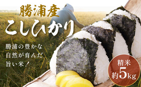 令和8年産 勝浦産 コシヒカリ 白米 5kg 中村米店