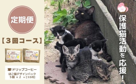 ドリップコーヒー ドリップバッグ 保護猫応援 ドリップコーヒー【10袋×3回】【定期便】