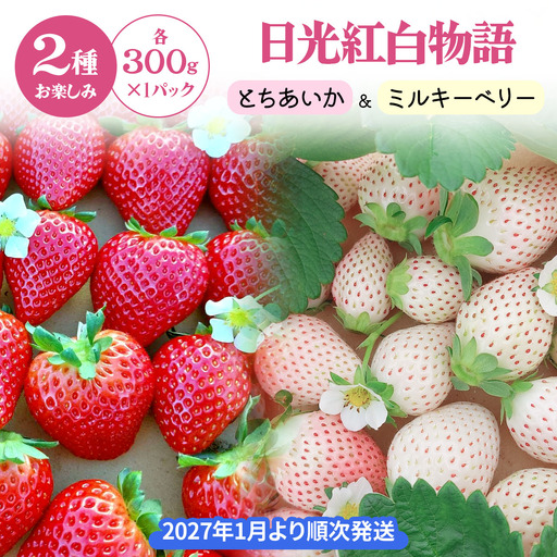 日光紅白物語「とちあいか＆ミルキーベリー」【2027年1月より順次発送】 [0962]