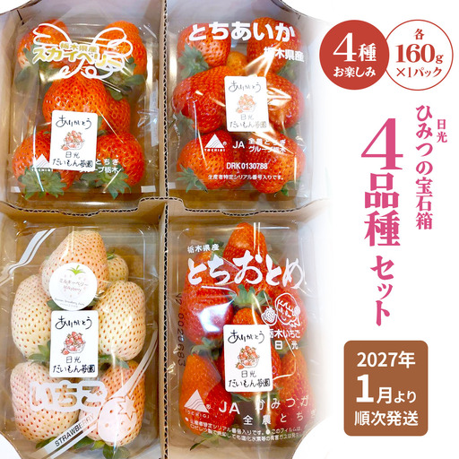 ひみつ(日光)の宝石箱 4品種セット「とちおとめ・スカイベリー・とちあいか・ミルキーベリー」 【2027年1月より順次発送】 [0964]