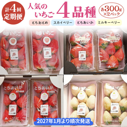 【4ヶ月連続定期便／計4回】 人気のいちご4品種【2027年1月より順次発送】 [0963]