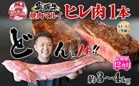 定期便 12ヶ月 飛騨牛 ヒレ肉 1本 A4〜A5等級 約3〜4kg 3割×6 ヒレ シャトーブリアン 肉 牛肉 ブランド牛 お肉 和牛 贅沢 お取り寄せ ご褒美 ステーキ 豪華 グルメ 焼肉 BBQ ギフト 贈り物 自家用 贈答用 送料無料 焼肉マルイ 岐阜県 安八町