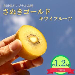 ＜先行受付　2026年発送＞さぬきゴールド　キウイフルーツ　約1.2kg（化粧箱）