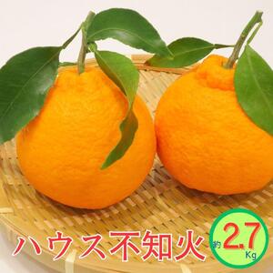 ハウス不知火　約2.7kg