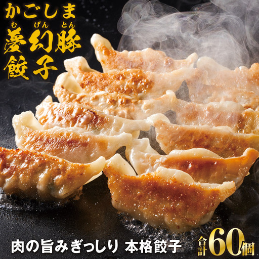 2773 かごしま 夢幻豚 餃子 12個 × 5P KN021-037-01 肉 豚肉 惣菜 総菜