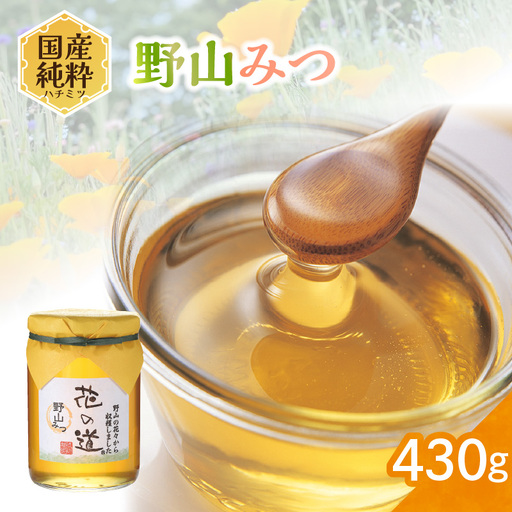 国産純粋蜂蜜 野山みつ 430g 非加熱 はちみつ ハチミツ 生はちみつ ローハニー オススメ 贈答 贈り物 プレゼント 八女市 183-025
