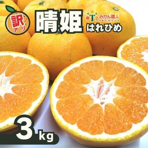 [先行予約]訳あり 晴姫 はれひめ 3kg みかん 蜜柑 柑橘 かんきつ 果物 くだもの ジュース 冬 旬 季節限定 期間限定 数量限定 厳選 産地直送 わけあり 訳あり 傷 きず サイズ混合 サイズミックス ふるさとチョイス ふるさと納税 ふるさと納税みかん チョイス 愛媛県 愛南町 職人武田屋
