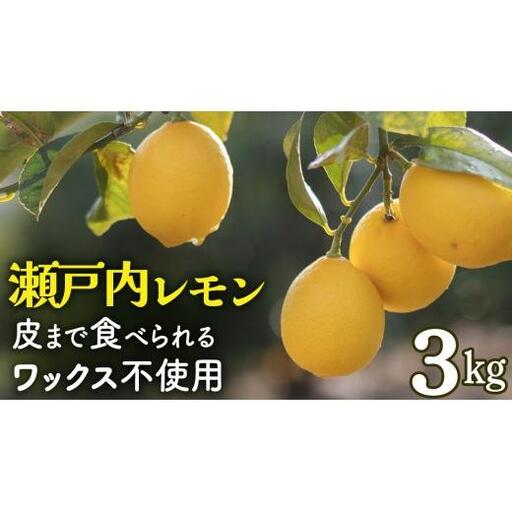 【先行予約】 もぎたてフレッシュ！ せとうちレモン 約3kg 2026年12月中旬～2027年1月発送 ワックス防腐剤不使用 皮まで丸ごと食べられる