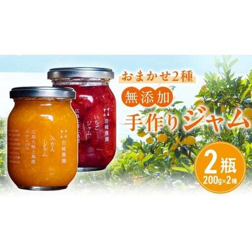岩﨑農園 無添加 手作り ジャム 200g 2本