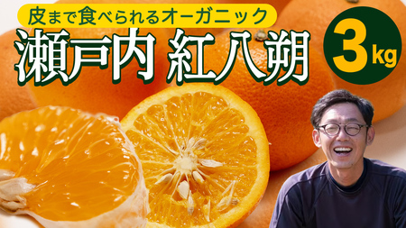 [ 先行予約 ]瀬戸内産 オーガニック 紅八朔 3kg [2027年1月中旬以降発送]