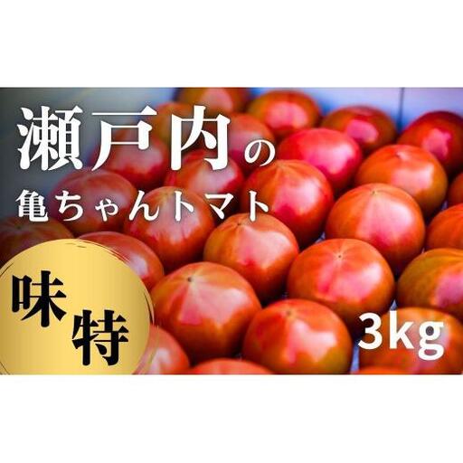 [先行予約]トマト 約3kg (約28〜35個前後) 亀ちゃんトマト 味特 桃太郎J [2027年1月中旬から順次発送] 産地直送 農家直送 国産 瀬戸内 広島県 大崎上島町 送料無料