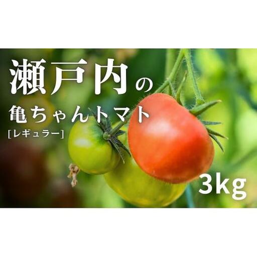 [先行予約]トマト 約3kg (約28〜35個前後) 亀ちゃんトマト レギュラー 桃太郎J [2027年1月中旬から順次発送] 産地直送 農家直送 国産 瀬戸内 広島県 大崎上島町 送料無料