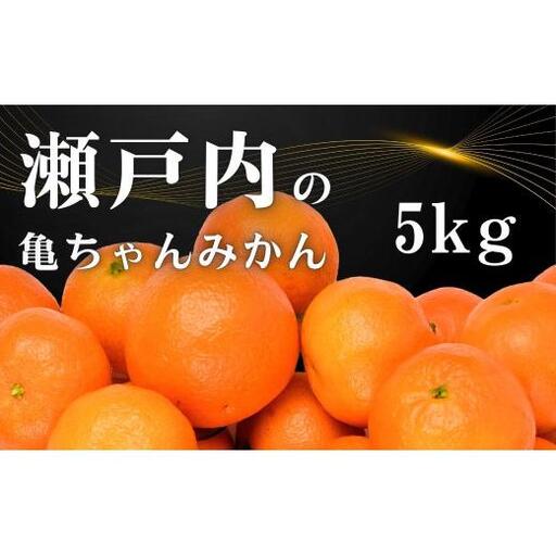 温州みかん 皮が薄い 甘み凝縮 約5kg 約50～60個 [先行予約 2026年11月中旬～発送] 瀬戸内 亀ちゃんみかん S～M玉 広島県 大崎上島町 国産 濃厚 果物 フルーツ ギフト 家庭用 送料無料 産地直送 亀田農園