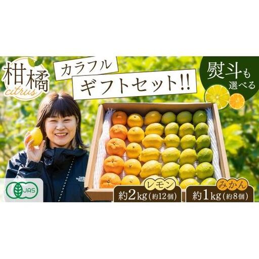 島の宝石箱!瀬戸内 旬の柑橘カラフルギフトセット ( レモン 約2kg /みかん 約1kg ) [2026年 11月 〜 12月 発送] 先行予約