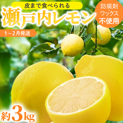 瀬戸内 レモン 約3kg (30個程度) 防腐剤・ワックス不使用 皮まで食べられる [ 2027年1月〜2月発送 ] 西田農園