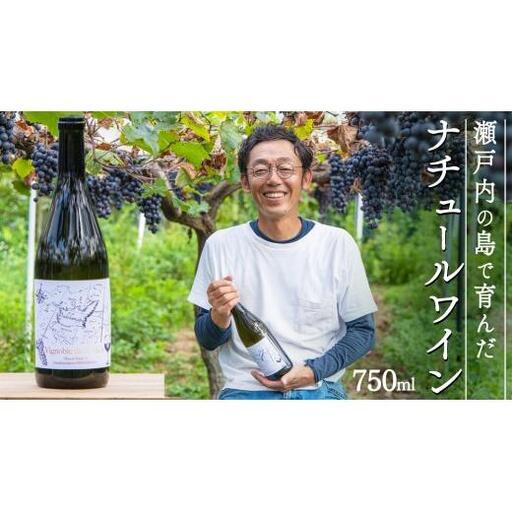 瀬戸内 の ナチュールワイン 750mL [Vignoble de NAKA rouge MBA]