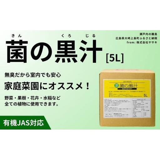 菌の黒汁 5L 1箱　園芸 肥料 家庭菜園 ベランダ菜園 特殊肥料 無臭 有機栽培 病害予防 健康土壌