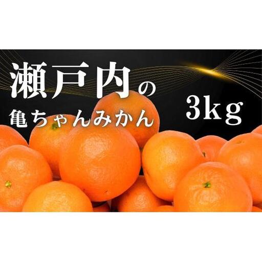 温州みかん 皮が薄い 甘み凝縮 約3kg 約30〜35個 [先行予約 2026年11月中旬〜発送] 瀬戸内 亀ちゃんみかん S〜M玉 広島県 大崎上島町 国産 濃厚 果物 フルーツ ギフト 家庭用 送料無料 産地直送 亀田農園