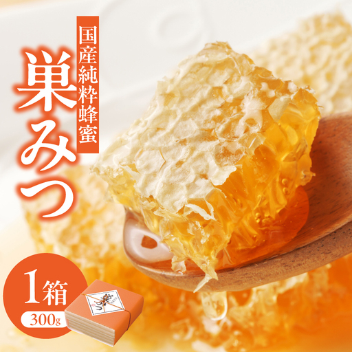 はちみつ 国産純粋蜂蜜 巣みつ 300g 非加熱 はちみつ ハチミツ 生はちみつ ローハニー オススメ 贈答 贈り物 プレゼント 八女市 183-004