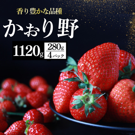 いちご[2027年発送]かおり野 4パック×280g 完熟いちご