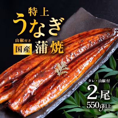 うなぎ 国産 蒲焼き 2尾 550g 特上ウナギ 9月発送 
