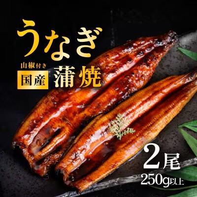 うなぎ 国産 蒲焼き 2尾 250g以上 上うなぎ 7月発送