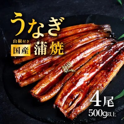 うなぎ 国産 蒲焼き 4尾 500g以上 上うなぎ 8月発送