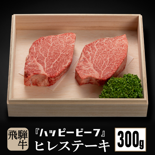飛騨牛 ステーキ 赤身ヒレ 300g ステーキ JQ024-CP01  FN-Limited-PR