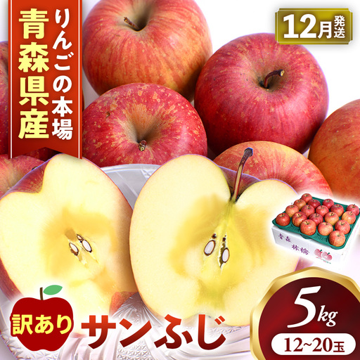[訳あり] 青森県産りんご サンふじ 約5kg 12月〜 りんご