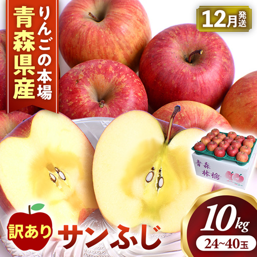 [訳あり] 大容量 青森県産りんご 12月〜 サンふじ 10kg りんご