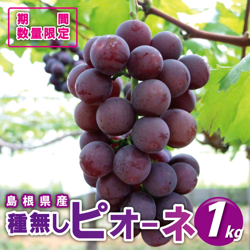 [糖度18度以上!]種無しピオーネ約1kg 9月中旬よりお届け