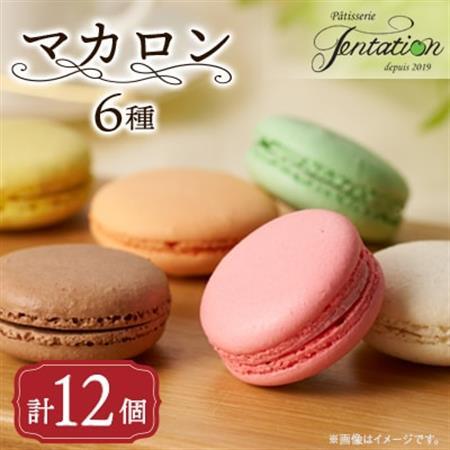 タンタシオンのマカロン12個セット_菓子・スイーツ 焼き菓子  _【配送不可地域：離島】【1522129】