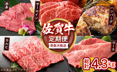 【奇数月発送】佐賀牛リッチセレクション定期便【多久精肉店】HCX006 肉セット佐賀牛 焼肉 カルビ ロース サーロイン カルビ 赤身 ハンバーグ ステーキ 焼肉