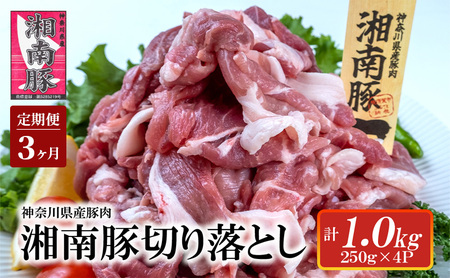 【3ヵ月定期便】湘南豚 切り落し 1.0kg 小分け 250g × 4P 3か月 冷凍 豚【神奈川 藤沢】