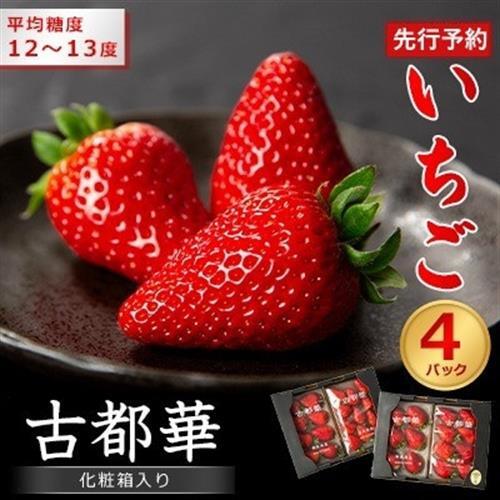 先行予約 奈良県産いちご 古都華 化粧箱入り4パック_果物・フルーツ いちご イチゴ 苺_[配送不可地域:離島・北海道・沖縄県]