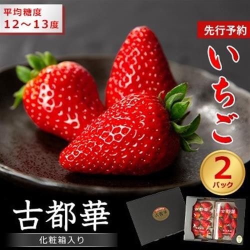先行予約 奈良県産いちご 古都華 化粧箱入り2パック_果物・フルーツ いちご イチゴ 苺_[配送不可地域:離島・北海道・沖縄県]
