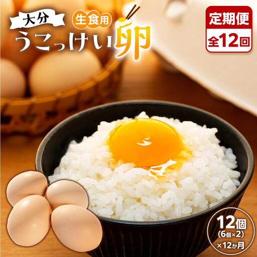 [定期便 全12回]大分うこっけい卵 生食用12個(6個×2パック)[お試しサイズ/使い切りにぴったり!]