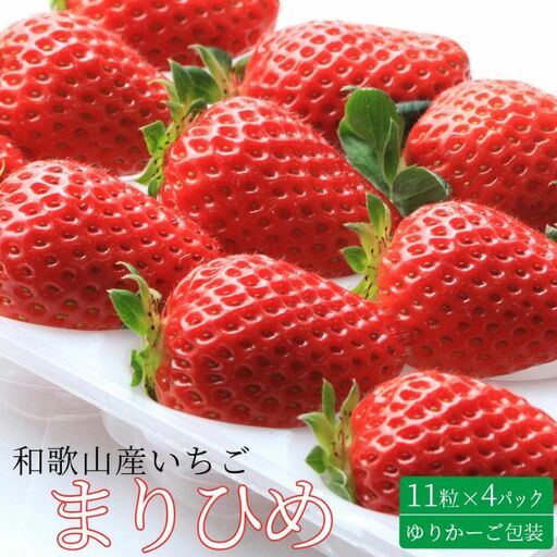 ［先行予約］いちご（まりひめ）ゆりかーご包装  ［2027年1月上旬から3月中旬にお届け］tagfam003A【tagfam003A】