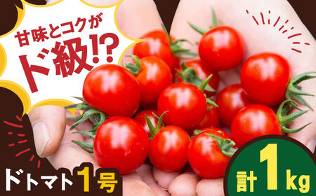 【2026年11月下旬発送】ドトマト1号 1kg / ミニトマト 甘い 野菜 サラダ / 佐賀県 [41AAAC002]