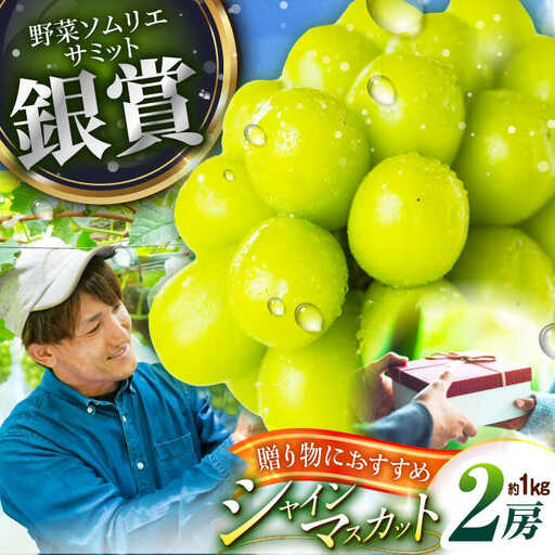 [2026年先行予約][50個限定][贈答用]シャインマスカット 2房(約1kg) [AIAB001]