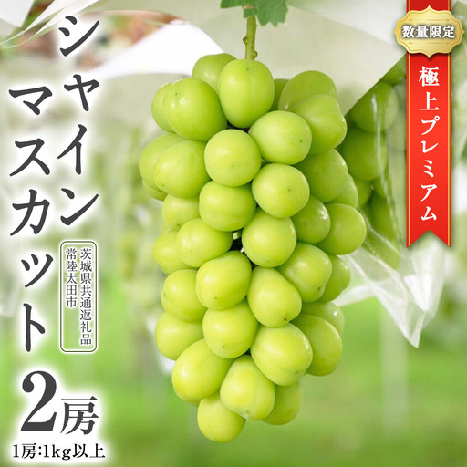極上 プレミアム シャインマスカット ２房 ( １房 1kg 以上) 数量限定 【茨城県共通返礼品／常陸太田市】 先行予約 マスカット 特大 贈答用 ギフト プレゼント フルーツ くだもの 果物 果実 ぶどう ブドウ 葡萄 茨城県 [DU023sa]