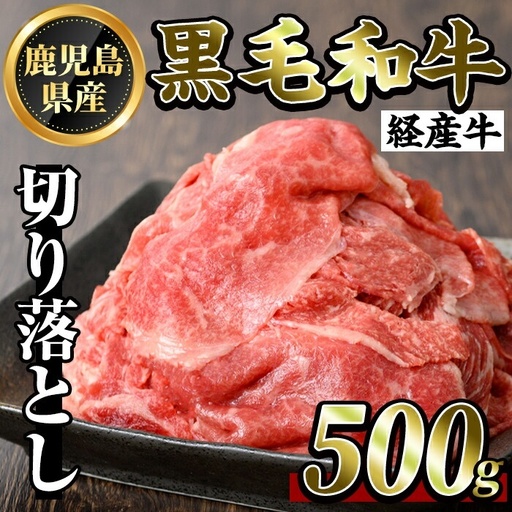 K-323 鹿児島県産黒毛和牛(経産牛)おためし切り落とし(500g)【ビーフ倉薗】霧島市 牛肉 スライス 切落し 国産 鹿児島県産 黒毛和牛 肉 精肉 牛